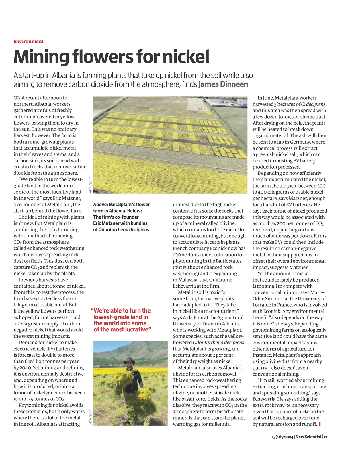 New Scientist magazine feature about Metalplant's nickel harvest