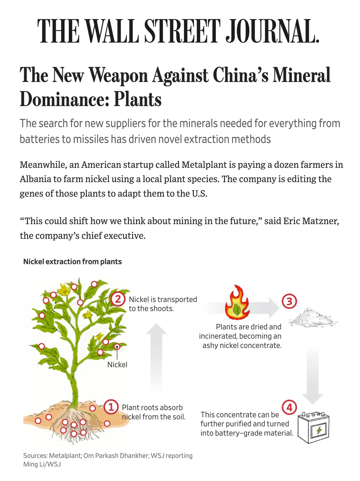 Wall Street Journal feature about Metalplant and phytomining