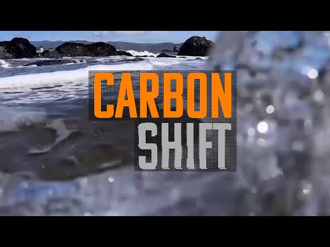 Reuters Carbon Shift report on Project Vesta